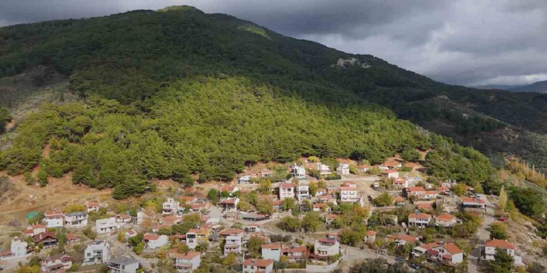Bir yanında deniz bir yanında orman! Dünyanın gizli kalmış cenneti: Emeklilik hayali kuranların aradığı adres 1